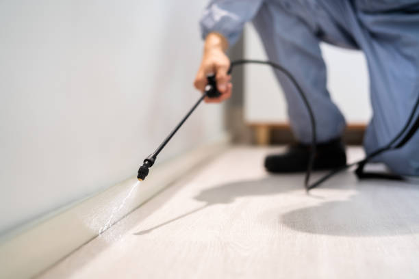 Licensed Termite Control service in Barber County County, KS - Nex Pest Control