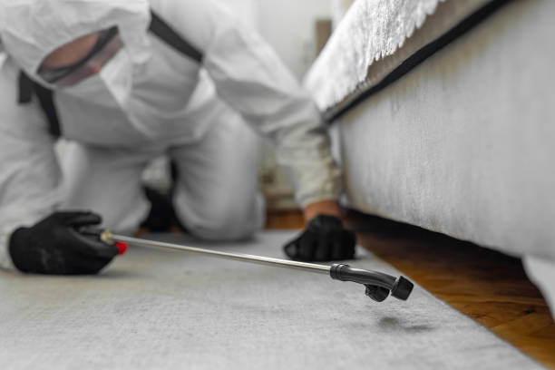 Professional Termite Control technician working in Barber County County, KS